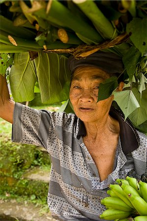 single banana - Old woman carrying bunch on bananas,Bali,Ubud Stock Photo - Rights-Managed, Code: 851-02960250