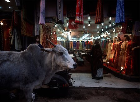 Cow walking past textile shop,Delhi,India Stock Photo - Rights-Managed, Code: 851-02960297