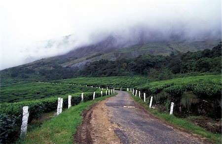 Kerala,India Stock Photo - Rights-Managed, Code: 851-02960355