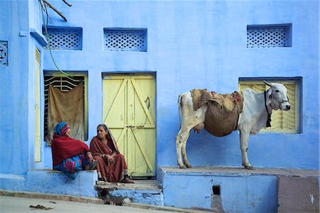 Deux femmes et une vache assis à l'extérieur d'une maison à Bundi, Rajasthan, Inde Photographie de stock - Rights-Managed, Code: 851-02960442