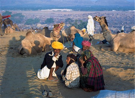 The annual camel mela at Pushkar oasis,Jaipur,Rajasthan,India. Stock Photo - Rights-Managed, Code: 851-02960506