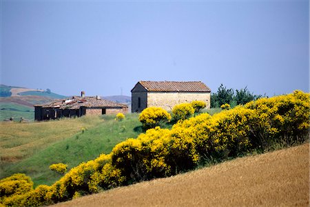 simsearch:851-02960908,k - Creti Senesi,Tuscany,Italy Foto de stock - Con derechos protegidos, Código: 851-02960861