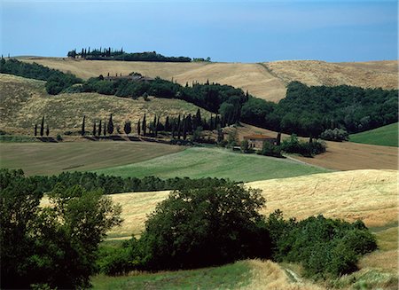 simsearch:851-02962518,k - Paysage, Toscane, Italie Photographie de stock - Rights-Managed, Code: 851-02960876