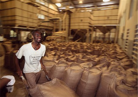 Man shifting coffee sacks,Blue Mountain,Jamaica Foto de stock - Con derechos protegidos, Código: 851-02960956
