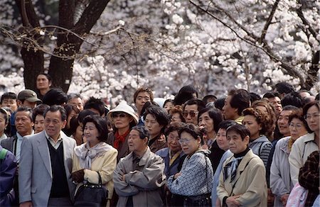 simsearch:851-02962712,k - Festival des cerisiers en fleurs, Tokyo, Japon Photographie de stock - Rights-Managed, Code: 851-02961198