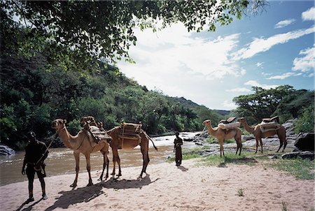 simsearch:851-02963287,k - Rivière Uaso, Lo Malo, Kenya Photographie de stock - Rights-Managed, Code: 851-02961295