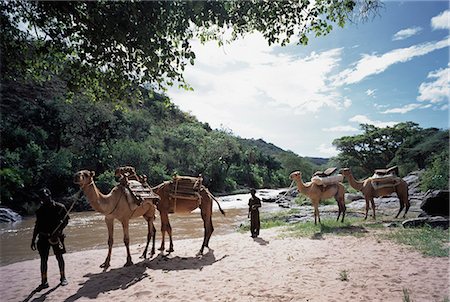 simsearch:851-02963280,k - River Uaso,Ol Malo,Kenya Foto de stock - Con derechos protegidos, Código: 851-02961295