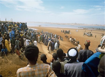 perinet - Diafarabe annuels Peuls bovins traversant, fleuve Niger, Mali Photographie de stock - Rights-Managed, Code: 851-02961687