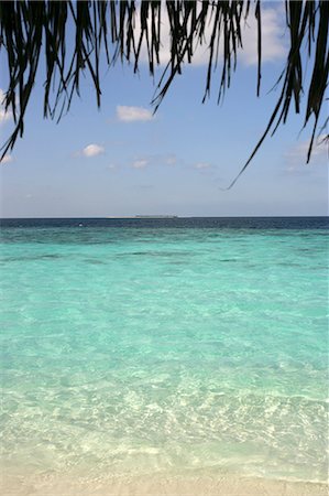 simsearch:851-02963571,k - Palm tree over ocean,Dhuni Kolhu Island,Maldives Foto de stock - Con derechos protegidos, Código: 851-02961709