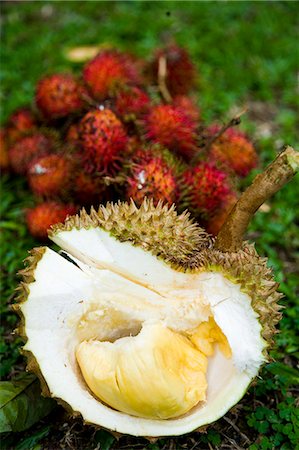 durião - Close-up of Durian and rambutan fruits,Tanjung Tokong,Pulau Pinang,Malaysia Foto de stock - Direito Controlado, Número: 851-02961824