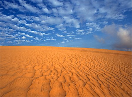 sand hill - Desert landscape,Mozambique Stock Photo - Rights-Managed, Code: 851-02961951