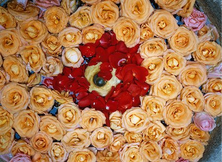 Roses in the fountain of the Riad Al Medina,Essaouira,Morocco. Stock Photo - Rights-Managed, Code: 851-02962023