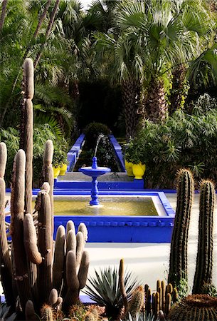 Fontaine dans les jardins de Majorelle, Marrakech, Maroc Photographie de stock - Rights-Managed, Code: 851-02962203