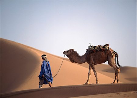 Man and camel,Tinfou,Morocco. Stock Photo - Rights-Managed, Code: 851-02962293