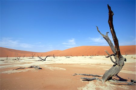 simsearch:851-02962090,k - Sossusvlei Desert Dunes Namib Desert Foto de stock - Con derechos protegidos, Código: 851-02962313