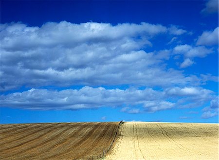 simsearch:851-02963652,k - Looking along fence in fields near Swellendam,Western Cape,South Africa. Stock Photo - Rights-Managed, Code: 851-02962601