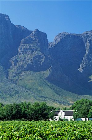 south africa scene tree - Colonial house in field,Western Cape,Republic of South Africa Stock Photo - Rights-Managed, Code: 851-02962629