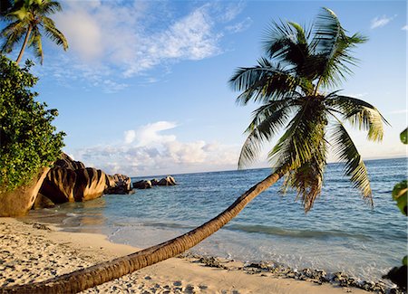 simsearch:851-02963977,k - Anse Source D'Argent,La Digue,Seychelles Foto de stock - Con derechos protegidos, Código: 851-02962648