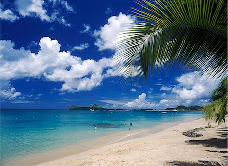 st lucia - Looking along Reduit beach to Pigeon Island,Rodney Bay,St. Lucia. Foto de stock - Con derechos protegidos, Código: 851-02962738