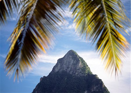 st lucia - Looking through palm tree on the beach at Soufriere at dusk towards Petit Piton,St Lucia. Foto de stock - Con derechos protegidos, Código: 851-02962744