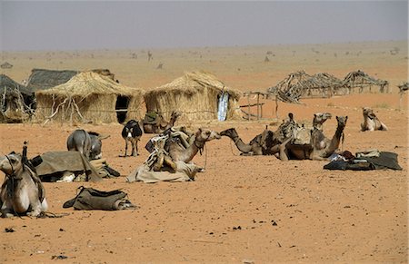 suédois - Desert village scene,Malha N. Darfur,Sudan Foto de stock - Con derechos protegidos, Código: 851-02962765