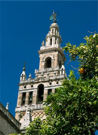 seville cathedral - Seville Cathedral with Giralda Tower behind palm tree,Seville,Andalucia,Spain Stock Photo - Rights-Managed, Code: 851-02962944