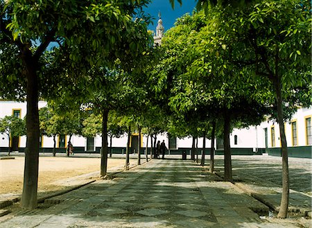 simsearch:851-02963020,k - Treelined footpath in courtyard,Seville,Andalucia,Spain Stock Photo - Rights-Managed, Code: 851-02962941