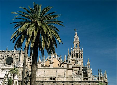 simsearch:851-02963104,k - Cathédrale de Séville, avec la tour de Giralda derrière le palmier, Séville, Andalousie, Espagne Photographie de stock - Rights-Managed, Code: 851-02962943