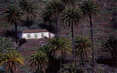 simsearch:851-02963318,k - Maison parmi les palmiers, La Gomero, Iles Canaries, Espagne Photographie de stock - Rights-Managed, Code: 851-02963123