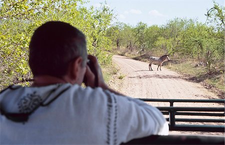 simsearch:851-02963318,k - Regarde un zèbre de véhicule de safari, Parc National de Ruaha, Tanzanie Photographie de stock - Rights-Managed, Code: 851-02963285
