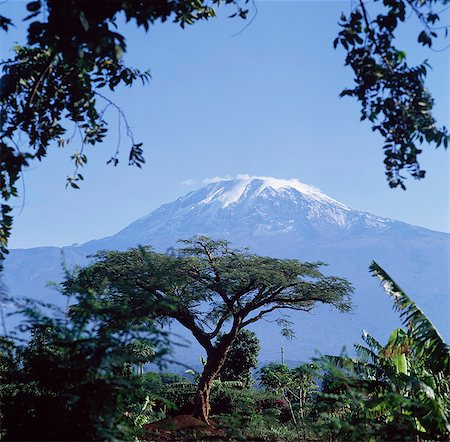 simsearch:851-02963319,k - Mt. Kilimanjaro,Moshi,Tanzania Foto de stock - Con derechos protegidos, Código: 851-02963308