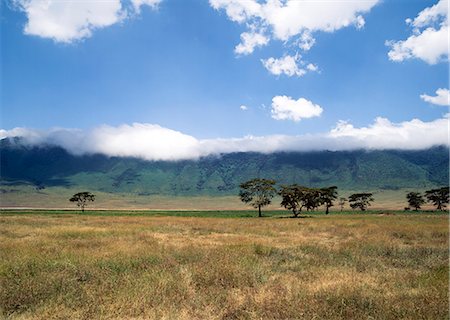 Nuages sur le cratère du Ngorongoro, Tanzanie Photographie de stock - Rights-Managed, Code: 851-02963315