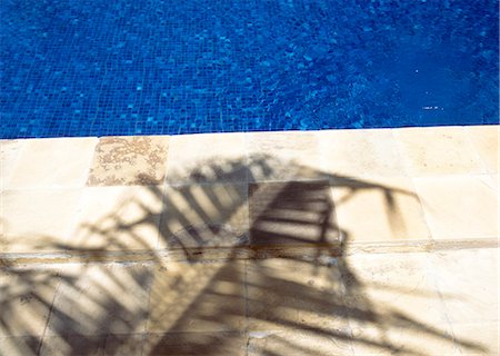 simsearch:851-02962607,k - Shadow of palm frond beside the swimming pool of The Palms Hotel,near Paje,Zanzibar,Tanzania. Stock Photo - Rights-Managed, Code: 851-02963354