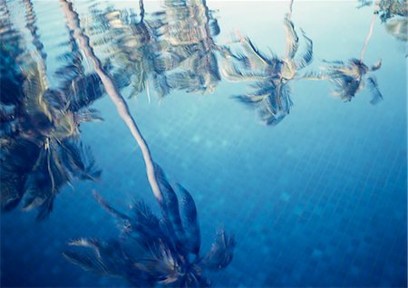 simsearch:851-02963337,k - Reflections of palm trees in the swimming pool of The Palms Hotel,Paje,Zanzibar,Tanzania. Stock Photo - Rights-Managed, Code: 851-02963356