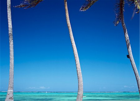 simsearch:851-02963342,k - Looking through palm trees and out to sea on the east coast near The Palms Hotel,Paje,Zanzibar,Tanzania. Foto de stock - Con derechos protegidos, Código: 851-02963353