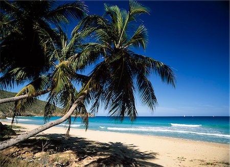 Lambert Bay,Tortola. The British Virgin Islands Foto de stock - Con derechos protegidos, Código: 851-02963549