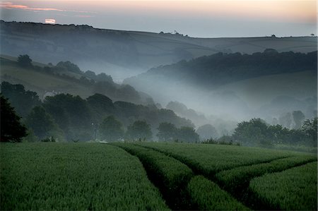 simsearch:851-02963795,k - Lever du soleil sur les collines, Devon, Angleterre Photographie de stock - Rights-Managed, Code: 851-02963748