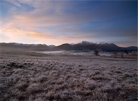 Aonach Mor near Spean Bridge,Inverness,Scotland Fotografie stock - Rights-Managed, Codice: 851-02963919