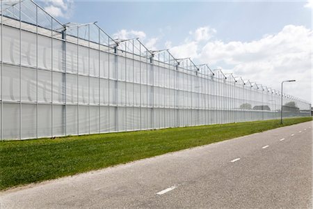 estufa de plantas - Greenhouse by the roadside, Netherlands Foto de stock - Direito Controlado, Número: 853-05523390