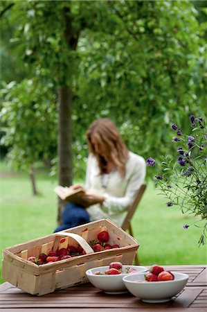 Strawberries on garden table, young woman reading in the back Stock Photo - Rights-Managed, Code: 853-06441551