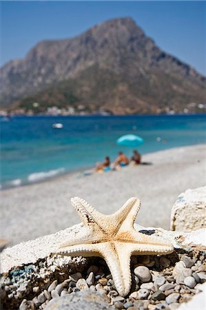 sea starfish pictures - Starfish at beach, Kalymnos, Dodecanes, Greece, Europe Photographie de stock - Rights-Managed, Code: 853-07026652