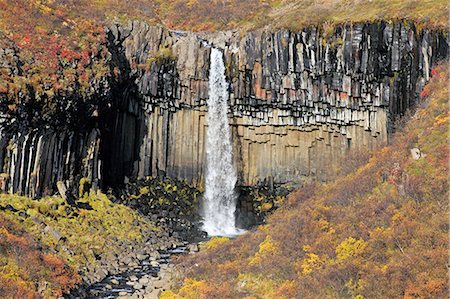 f1online - Svartifoss Waterfall in autumn, Skaftafell National Park, Island Stockbilder - Lizenzpflichtiges, Bildnummer: 853-07026660