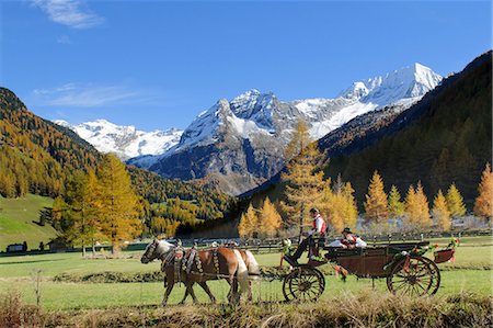 Carriage in the Rieserferner-Ahrn Nature Park, South Tyrol, Italy Photographie de stock - Rights-Managed, Code: 853-07026691