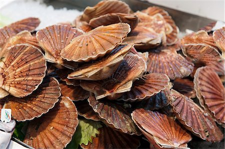 Scallops on a fish market in San Polo, Venice, Italy Foto de stock - Con derechos protegidos, Código: 853-07026731