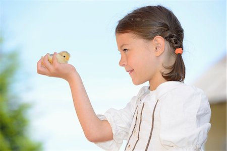 simsearch:614-08880760,k - Girl holding a chicken chick Foto de stock - Direito Controlado, Número: 853-07148581