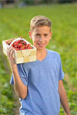 den durst stillen - Teenage boy holding basket with strawberries, portrait Stockbilder - Lizenzpflichtiges, Bildnummer: 853-07148661