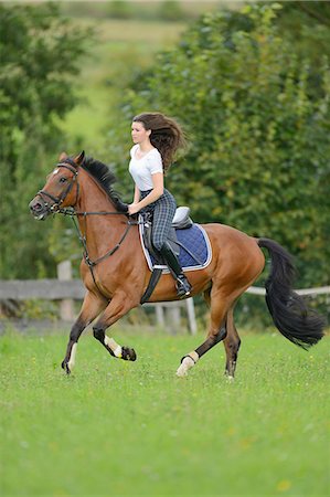 simsearch:6128-08840957,k - Teenage girl riding a Mecklenburger horse on a paddock Stock Photo - Rights-Managed, Code: 853-07241786