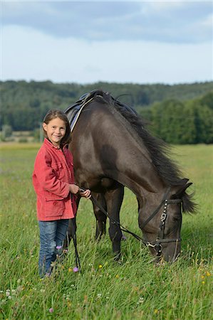 simsearch:853-03459045,k - Girl standing with an Arabian Haflinger on a meadow Photographie de stock - Rights-Managed, Code: 853-07241826