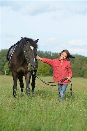 southern germany - Girl standing with an Arabian Haflinger on a meadow Photographie de stock - Rights-Managed, Code: 853-07241827