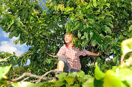 garçon assis dans un buisson Photographie de stock - Rights-Managed, Code: 853-02914202